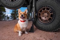 mesa_tactical_1400_moss_500_sureshell_leo_truckee.jpg